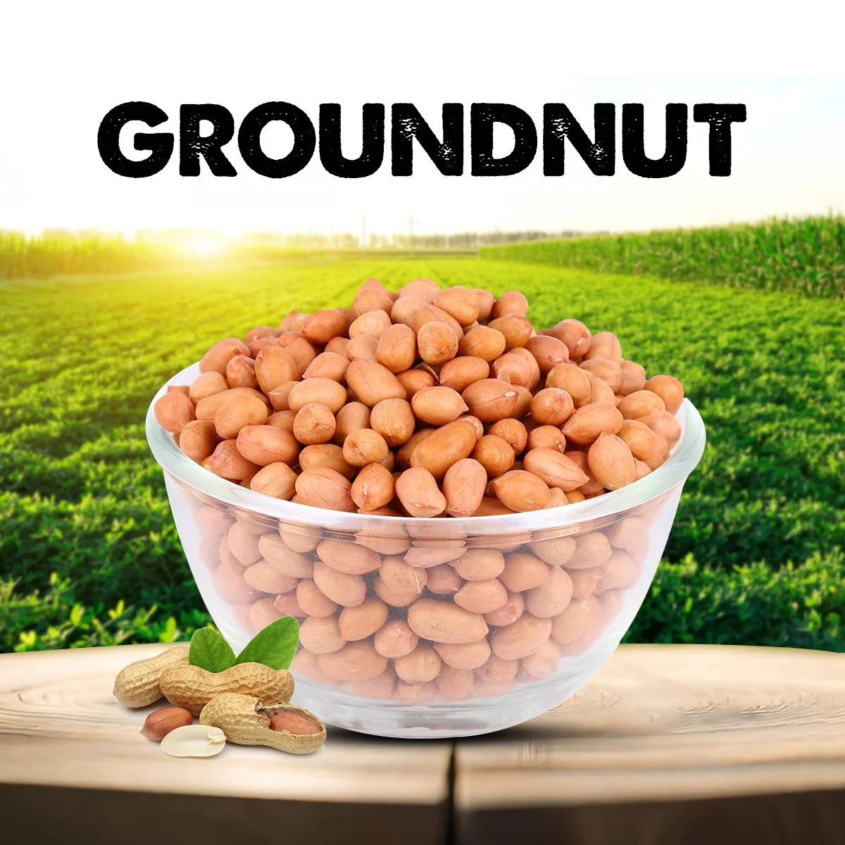 Groundnut